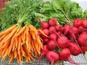 Морковь,  cвекла,  лук,  картофель. Доставка по Московскому и Фрунзенскому районам,  доносим до квартиры.